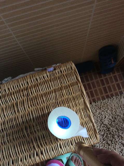  寶媽買了紫光手電，衣服上好多熒光劑，看的心慌害怕